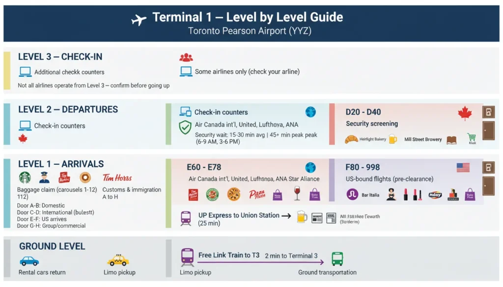 Illustration of Terminal 1 four levels: Ground Level transportation, Level 1 arrivals baggage claim UP Express, Level 2 departures check-in security gates, Level 3 additional check-in with gate concourses D20-40 domestic, E60-78 international, F80-98 US-bound