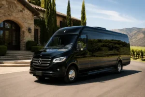 Mercedes Sprinter Van Limo Service Toronto